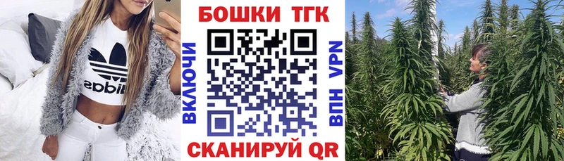 Где можно купить наркотики Хасавюрт Канабис  Псилоцибиновые грибы  ГАШ  Меф мяу мяу  Cocaine  A-PVP 