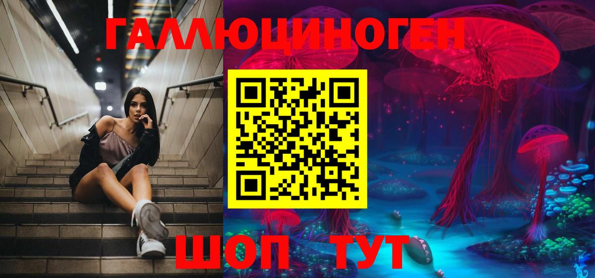 Галлюциногенные грибы MAGIC MUSHROOMS  что такое наркотик  Вход с VPN  Хасавюрт  Псилоцибиновые грибы Psilocybe 