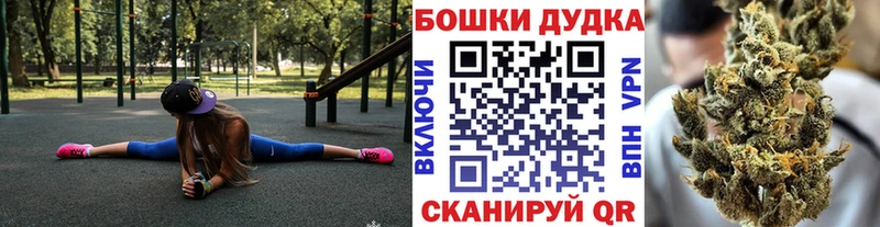 Бошки марихуана Amnesia Хасавюрт